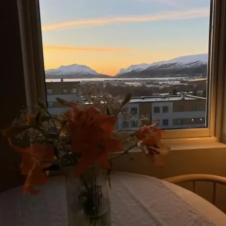 Modern In Tromso